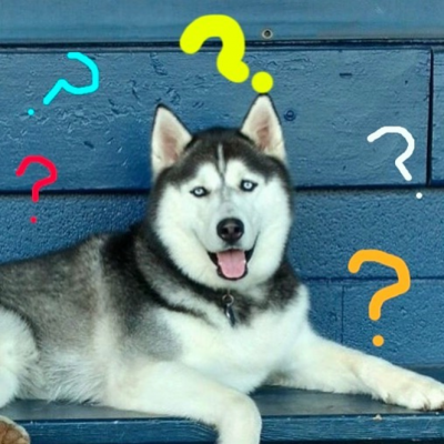 Frequently Asked Questions